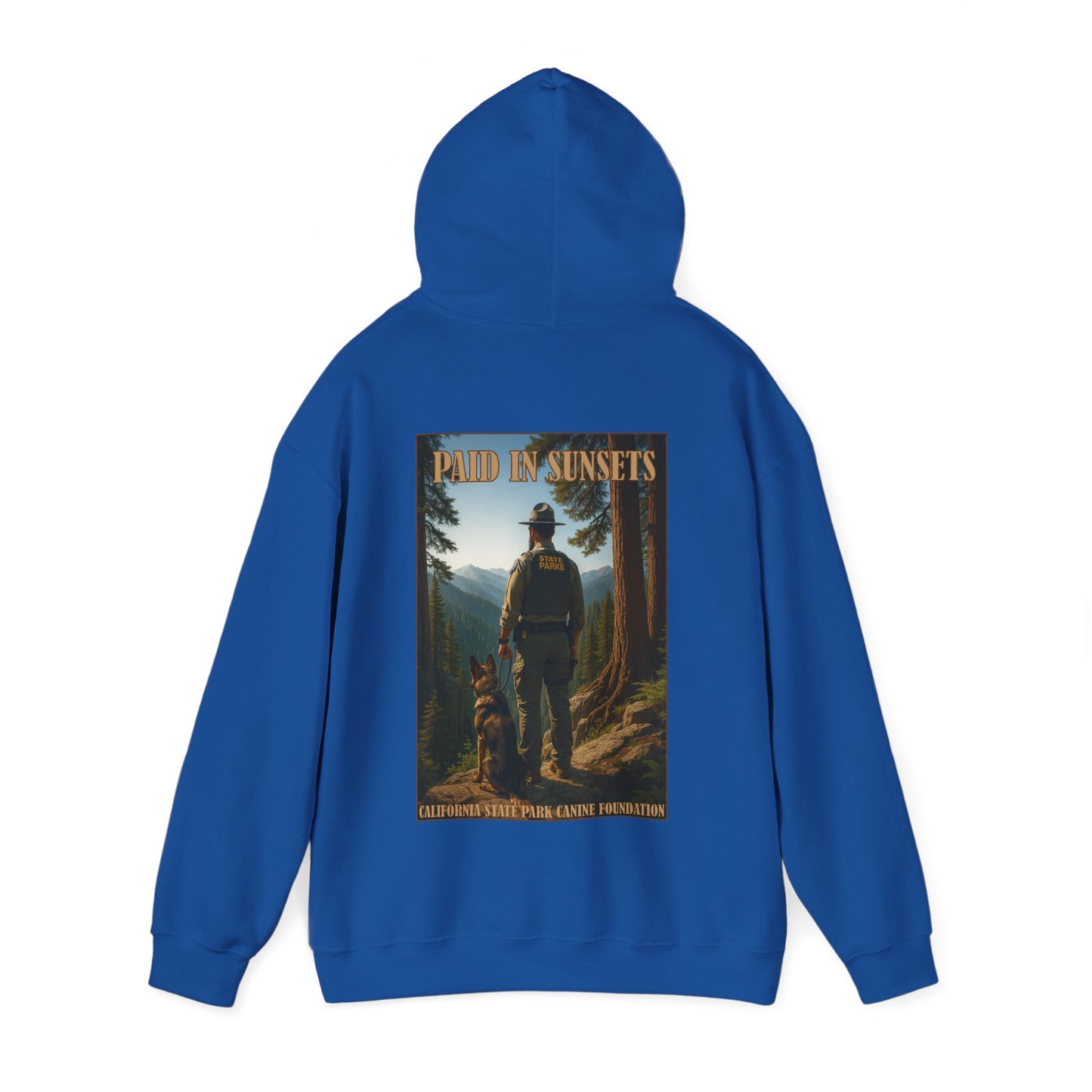 Paid in Sunsets - Hoodie