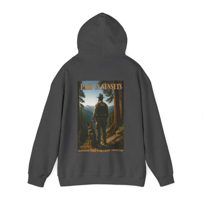 Paid in Sunsets - Hoodie