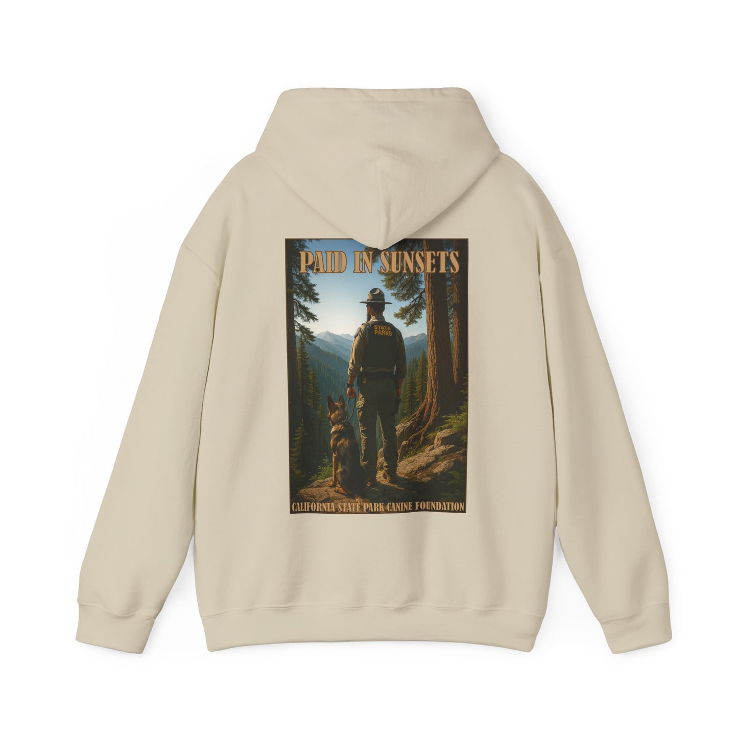 Paid in Sunsets - Hoodie