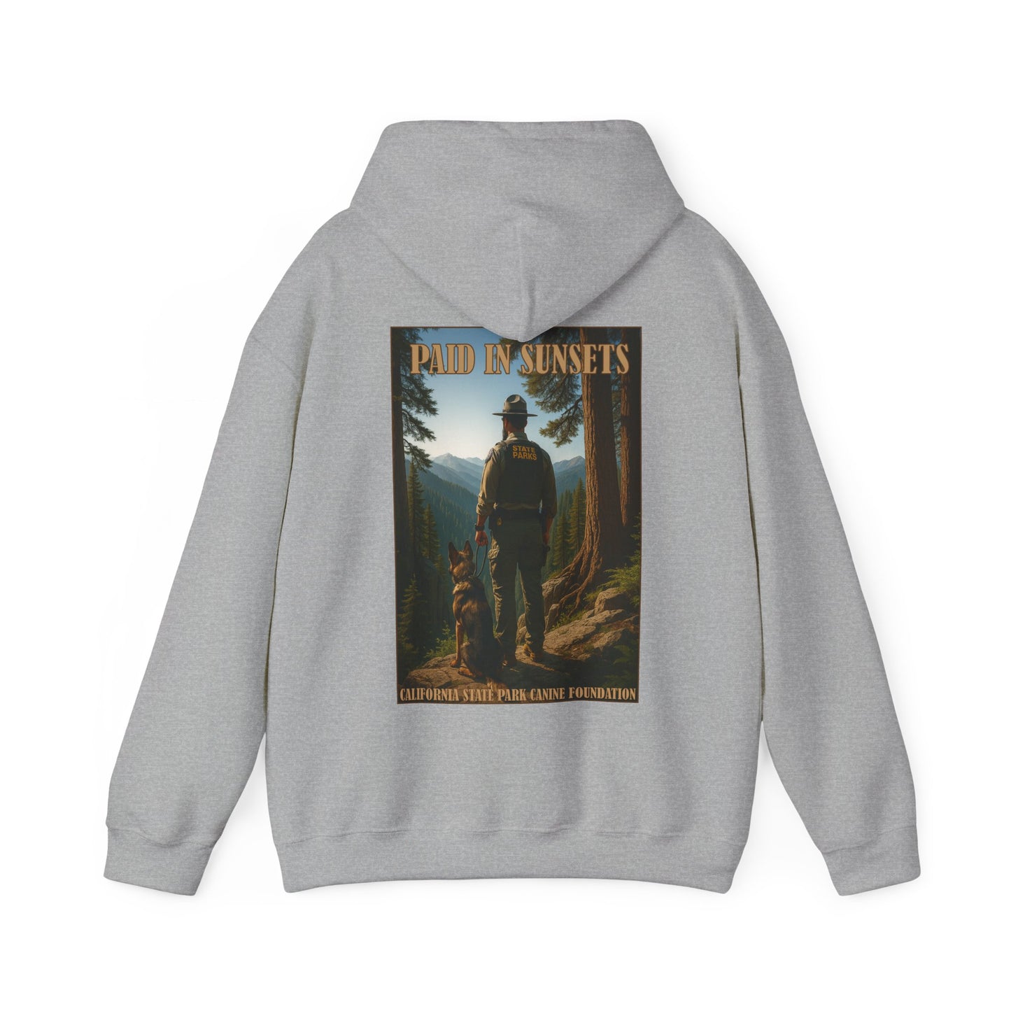 Paid in Sunsets - Hoodie