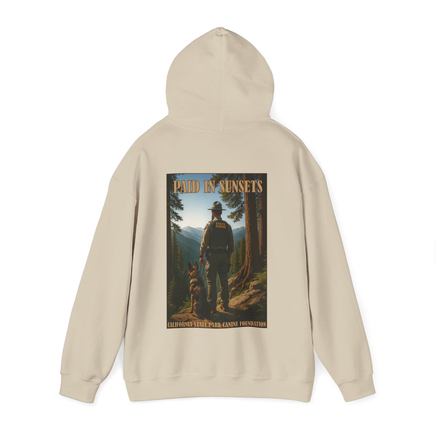 Paid in Sunsets - Hoodie