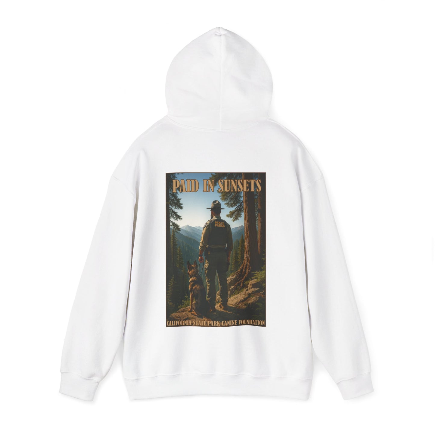 Paid in Sunsets - Hoodie