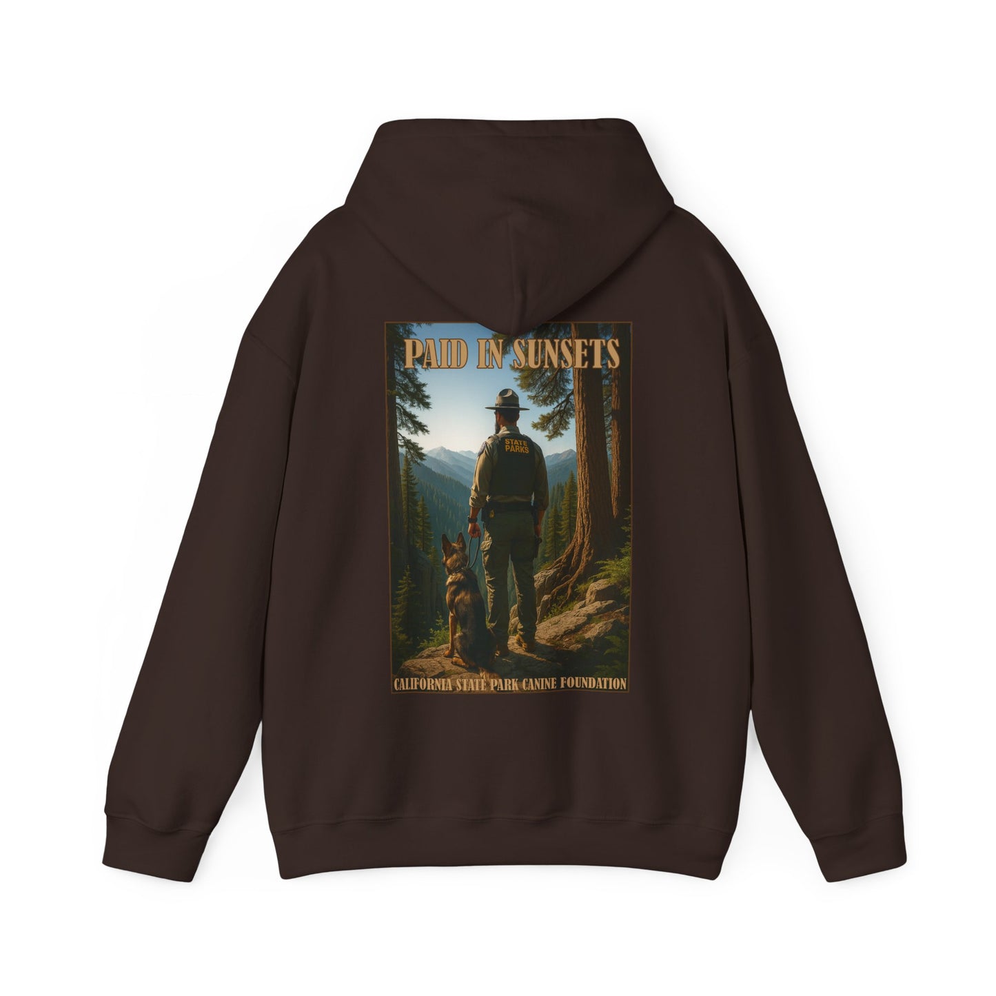 Paid in Sunsets - Hoodie