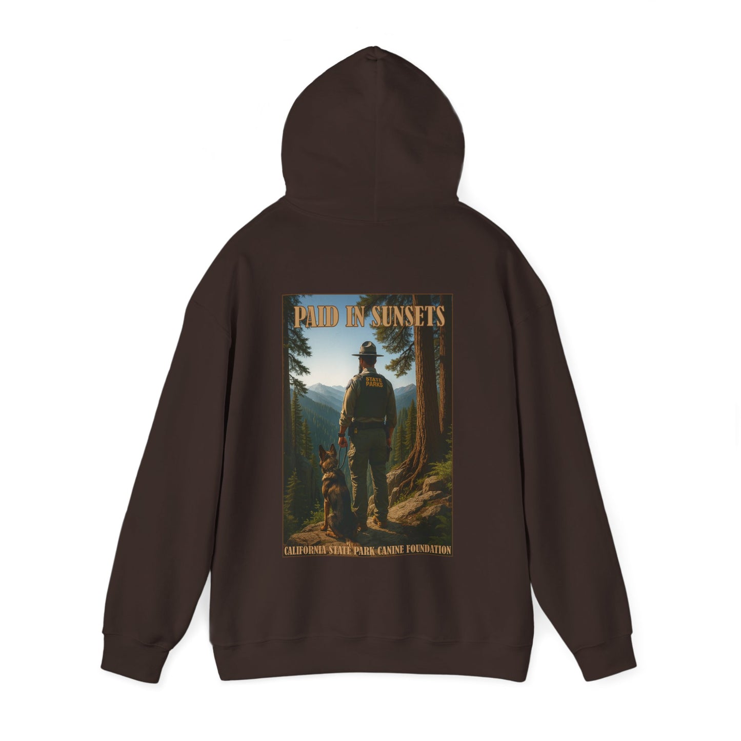 Paid in Sunsets - Hoodie