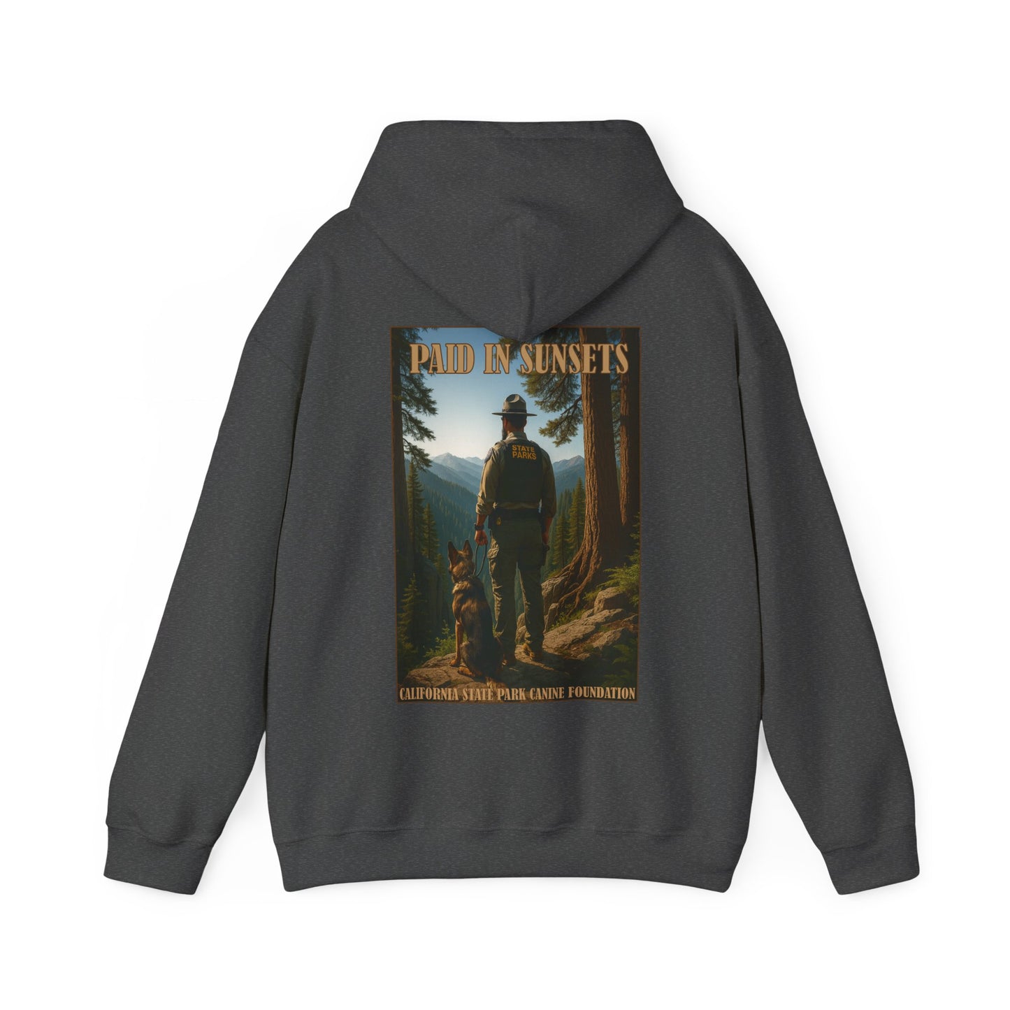 Paid in Sunsets - Hoodie