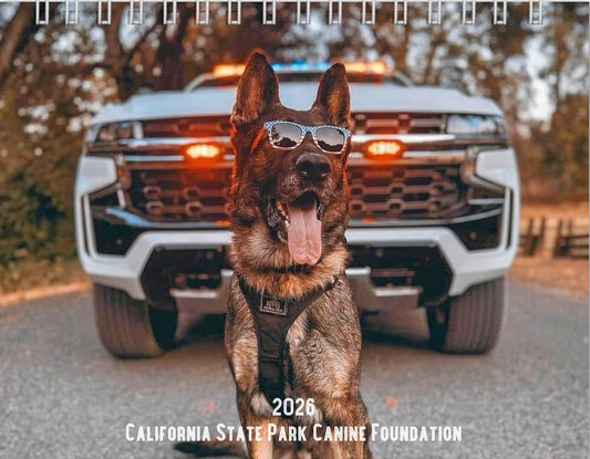 2026 Canine Calendar