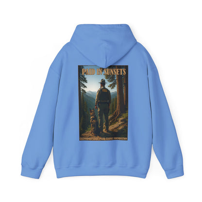 Paid in Sunsets - Hoodie